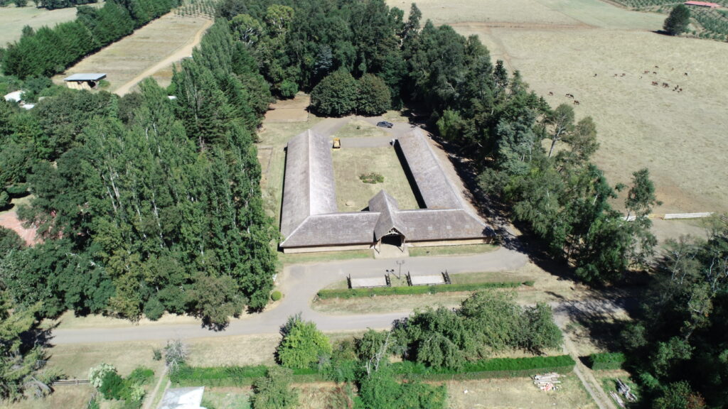 LOS LAGOS