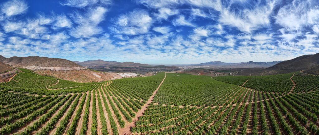 OVALLE