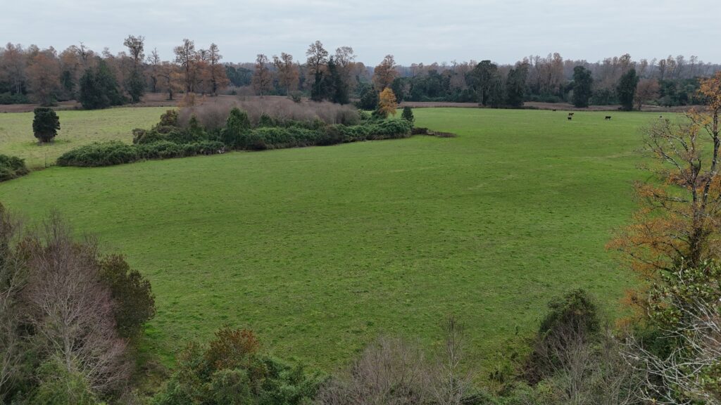 RÍO NEGRO