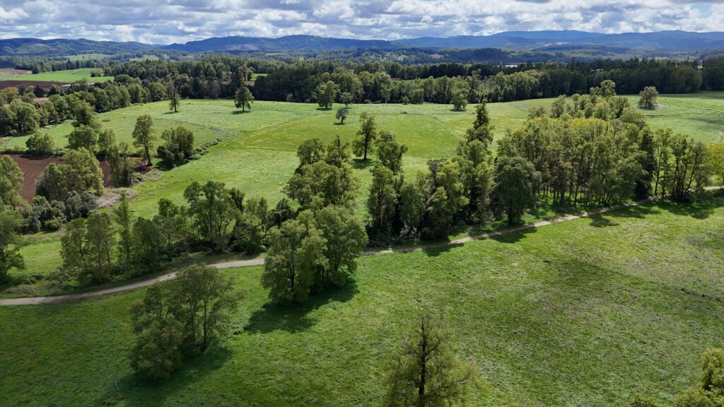 LOS LAGOS